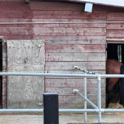 5d3a1044 Dde5 4171 9fc1 E668edabf9ab